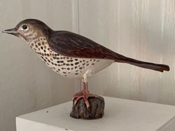 Thrush